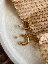 Load image into Gallery viewer, Nova