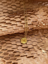 Load image into Gallery viewer, Solis